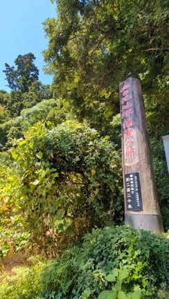 夏休み突入ー！九州へ初フェリーで行ってきました♪の記事動画