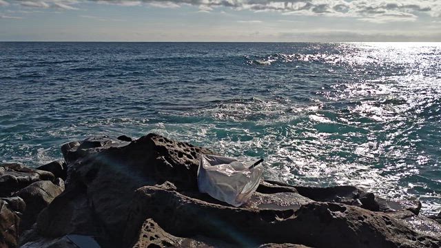 釣行２日目の記事動画