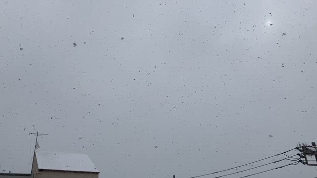 Until We Meet Againの記事動画