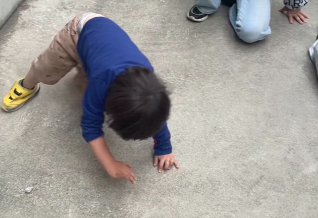 エンゲージメントの記事動画