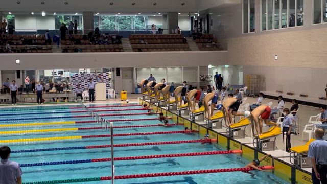 はんぺんの記事動画