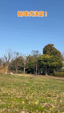 2026/03/21の記事動画