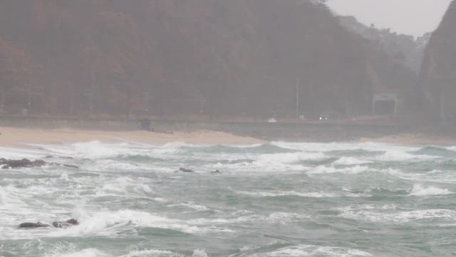 帰省後半～の記事動画