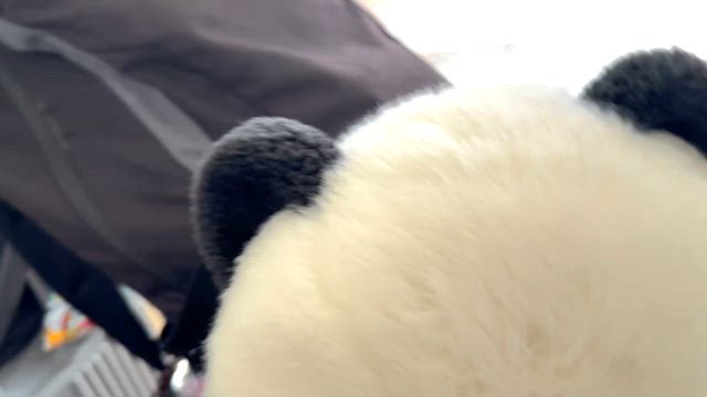 無事完走‼️の記事動画