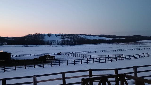 おつかれさまの記事動画