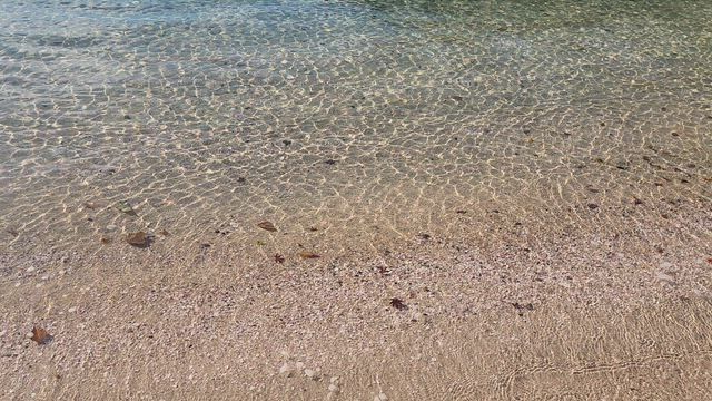 来年に向けての行動の記事動画