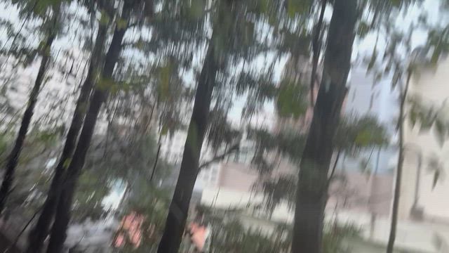 凄い雷と雨の記事動画