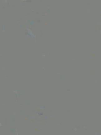 男達の冬休み。沖縄で、ふと思ったこと。の記事動画