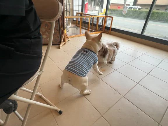 暑かった〜の記事動画