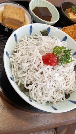 【淡島神社】【和歌山】吉方位日帰り旅行に行ってまいりました【岸和田】【岸城神社】の記事動画