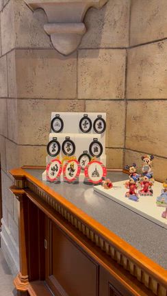 【TDL】11月のクリスマスディズニー へ(*´ω`*)の記事動画