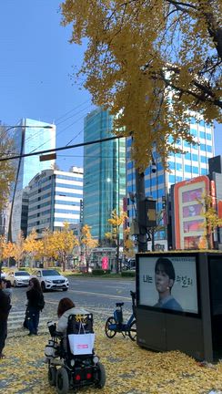 銀杏並木が舞い落ちると一斉に撮影の韓国人と…の記事動画