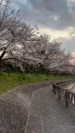 【男性心理】男が重視しているのはここだった！（「外見はドア」理論）の記事動画