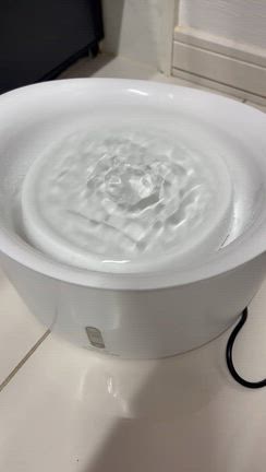 まだ眠いですの記事動画