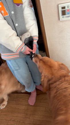 頑張れ‼️の記事動画