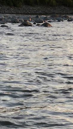 なぜ釣れないのか。釣れないのか。つ、つ、釣れない…の記事動画