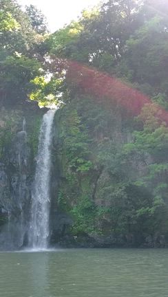 八反の滝へ✨の記事動画