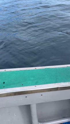 ジギング便の記事動画