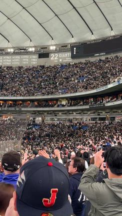 WBC2026 日豪戦の記事動画