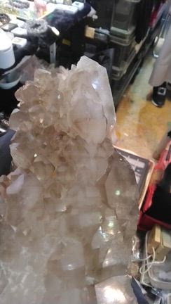 ジャガレーの記事動画