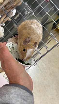 昨日のお話し　11月23日　勤労感謝の日の記事動画