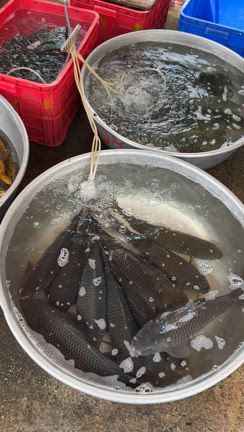 ホーチミンのマニアック市場の記事動画