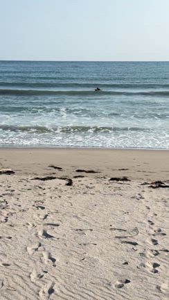 絶好の季節到来！　躊躇しないで始めましょう！これから始める方や初心者へ！の記事動画