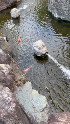 西国三十三ケ所巡り、総持寺（二十二番札所）への記事動画