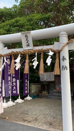 壱岐島の龍神の記事動画