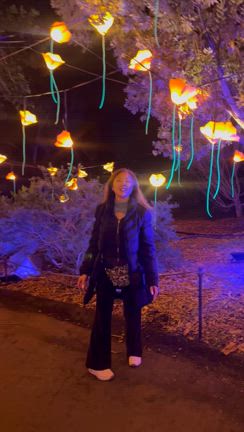 帰国前のクリスマスの記事動画