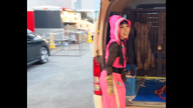 未公開　ホワイトライオンの記事動画