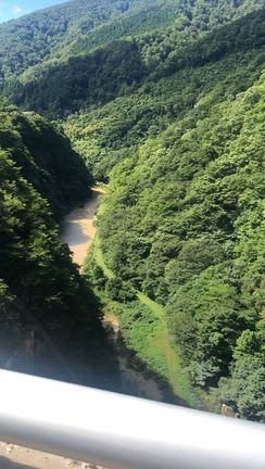 ダムの記事動画