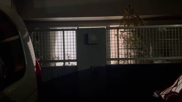 ゴローちゃんのお誕生日＊2026〜喜ぶプレゼントはコレだったか…。の記事動画