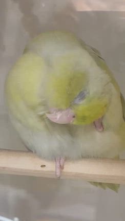 感謝いっぱい 素敵な誕生日です✨️の記事動画