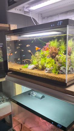 Biorum水槽販売中の記事動画