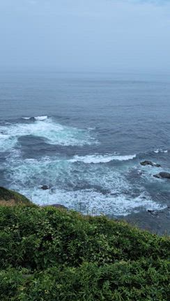 三浦半島　お得旅♪（たまには休まんとね）の記事動画