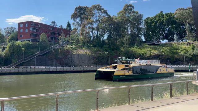 パラマタお気に入りベーカリーとフェリーの記事動画