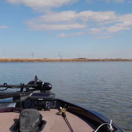 2025/02/15 利根川釣行の記事動画