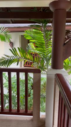 プーケットの記事動画