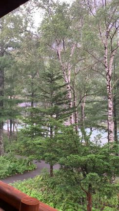 ③雨の上高地…悪く無い❣️の記事動画