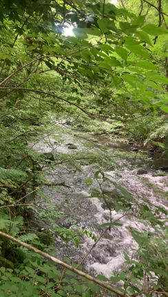 続軽井沢涼しい編の記事動画