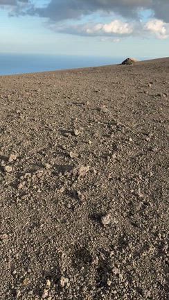 濃すぎた伊豆大島⑴の記事動画