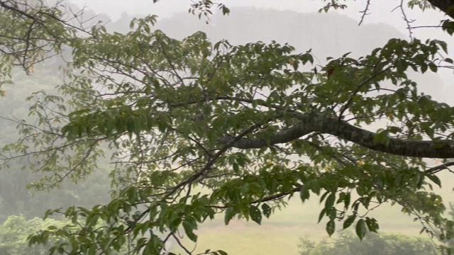 送り盆を無事に終えたら。。。次は台風が来る～ｱﾀヽ(д｀ヽ彡ノ´д)ノﾌﾀの記事動画