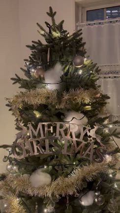 クリスマスツリーの記事動画