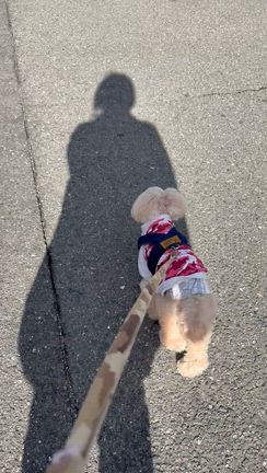 ⭐️あしびの郷さんで10周年お祝い⭐️の記事動画