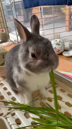 休日1日目の記事動画