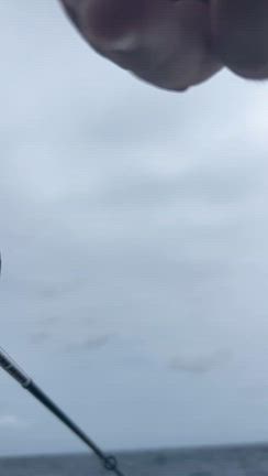 9月23日、台風の影響で大荒れの海の記事動画