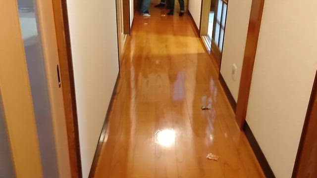 明日は立春です♪の記事動画