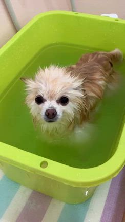 アクアゼオ温浴中の結衣ちゃんの記事動画