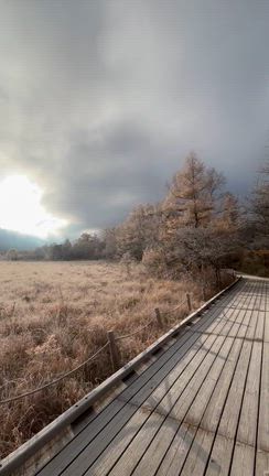 奥日光（龍頭の滝～日光戦場ヶ原～湯ノ湖）①の記事動画